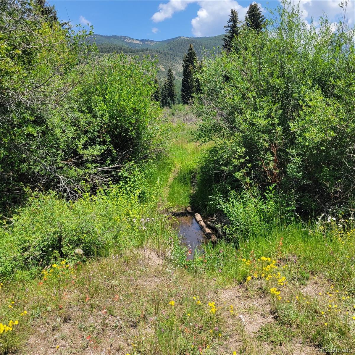 6299 Nicholson Road San Luis, CO 81152 - Photo 11 of 12 Gallery Image 11