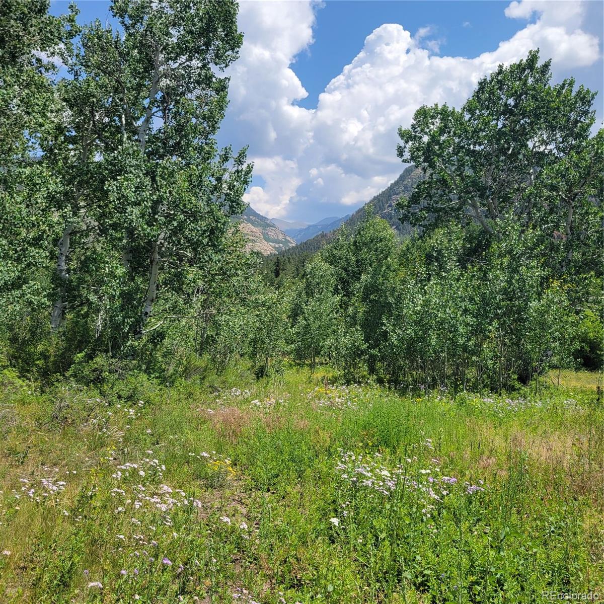 6299 Nicholson Road San Luis, CO 81152 - Photo 3 of 12 Gallery Image 3