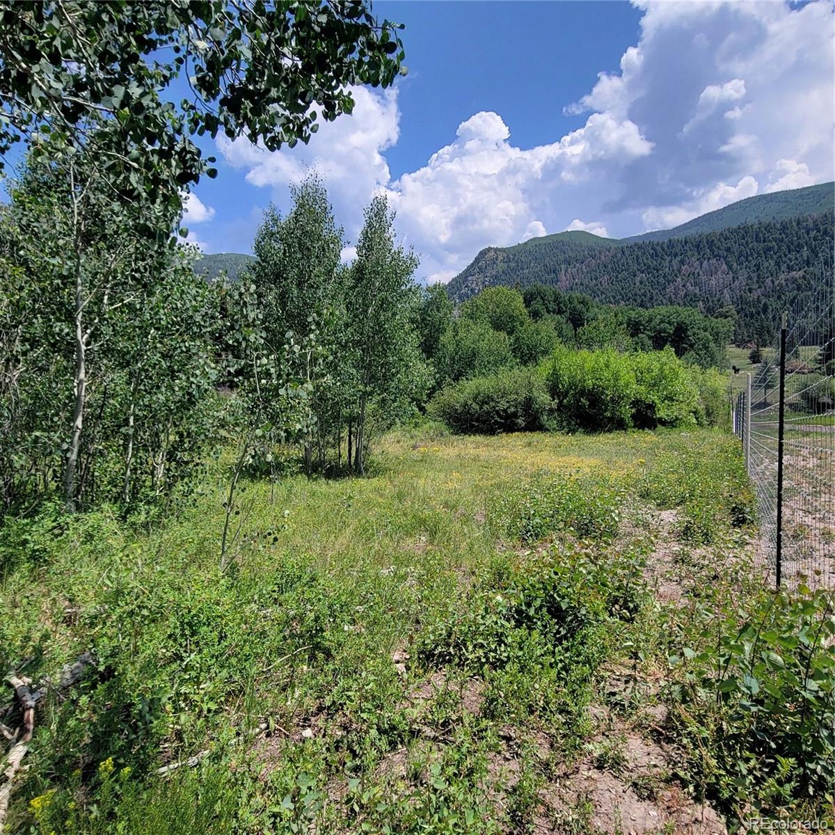 6299 Nicholson Road San Luis, CO 81152 - Photo 5 of 12 Gallery Image 5