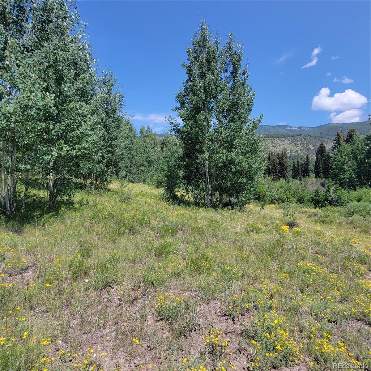 6299 Nicholson Road San Luis, CO 81152 - Photo 7 of 12 Gallery Image 7