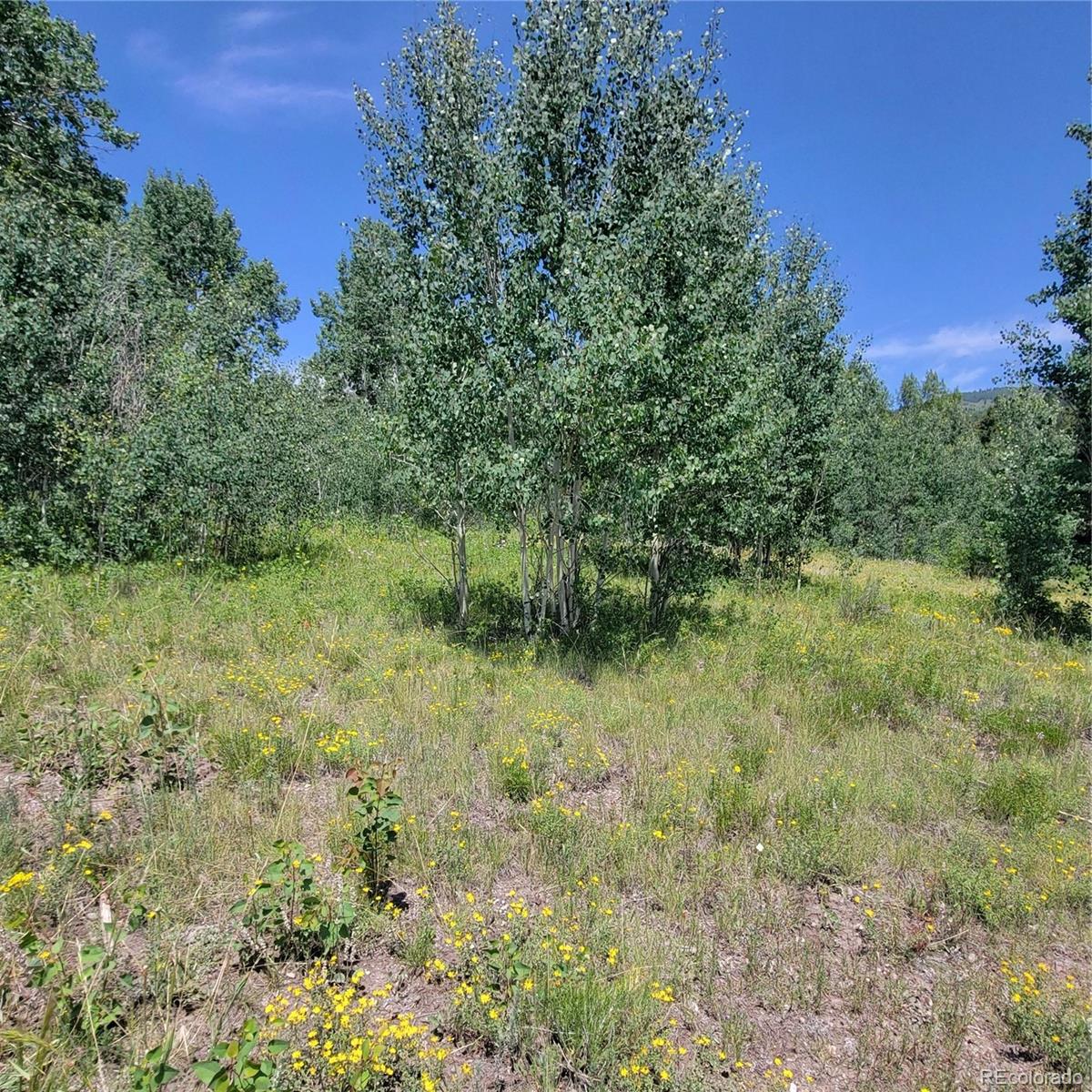 6299 Nicholson Road San Luis, CO 81152 - Photo 8 of 12 Gallery Image 8