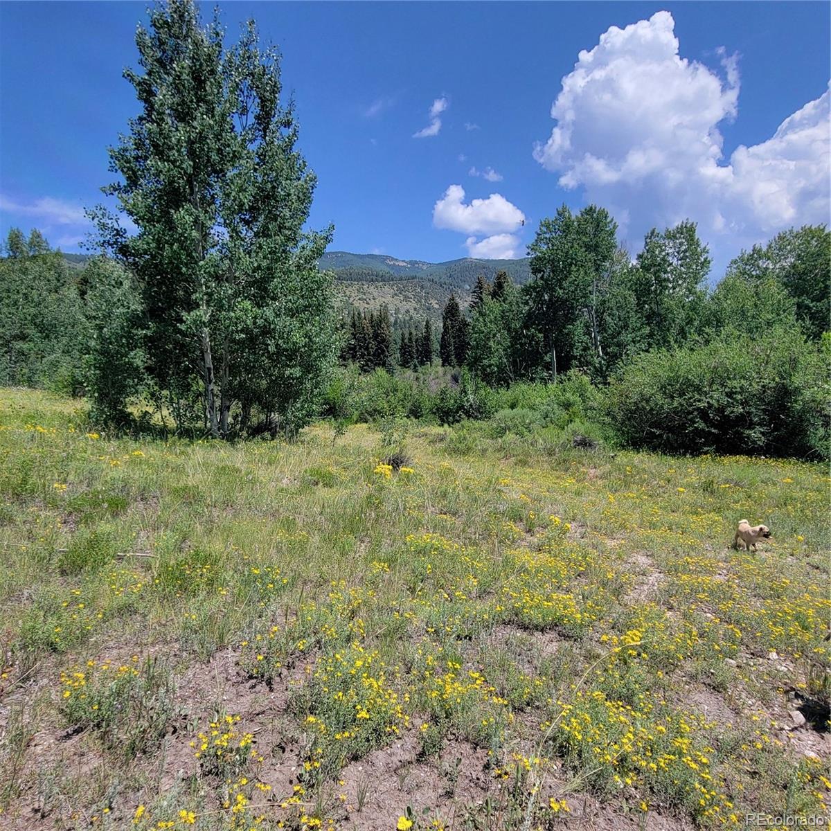 6299 Nicholson Road San Luis, CO 81152 - Photo 10 of 12 Gallery Image 10