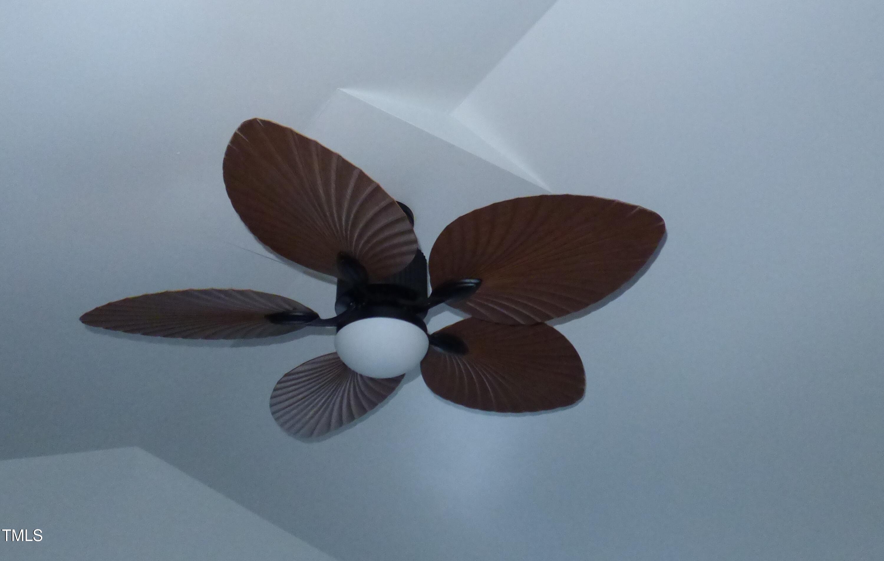5539 Fieldview Road Mebane, NC 27302 - Photo 20 of 49 inside master bed ceiling fan