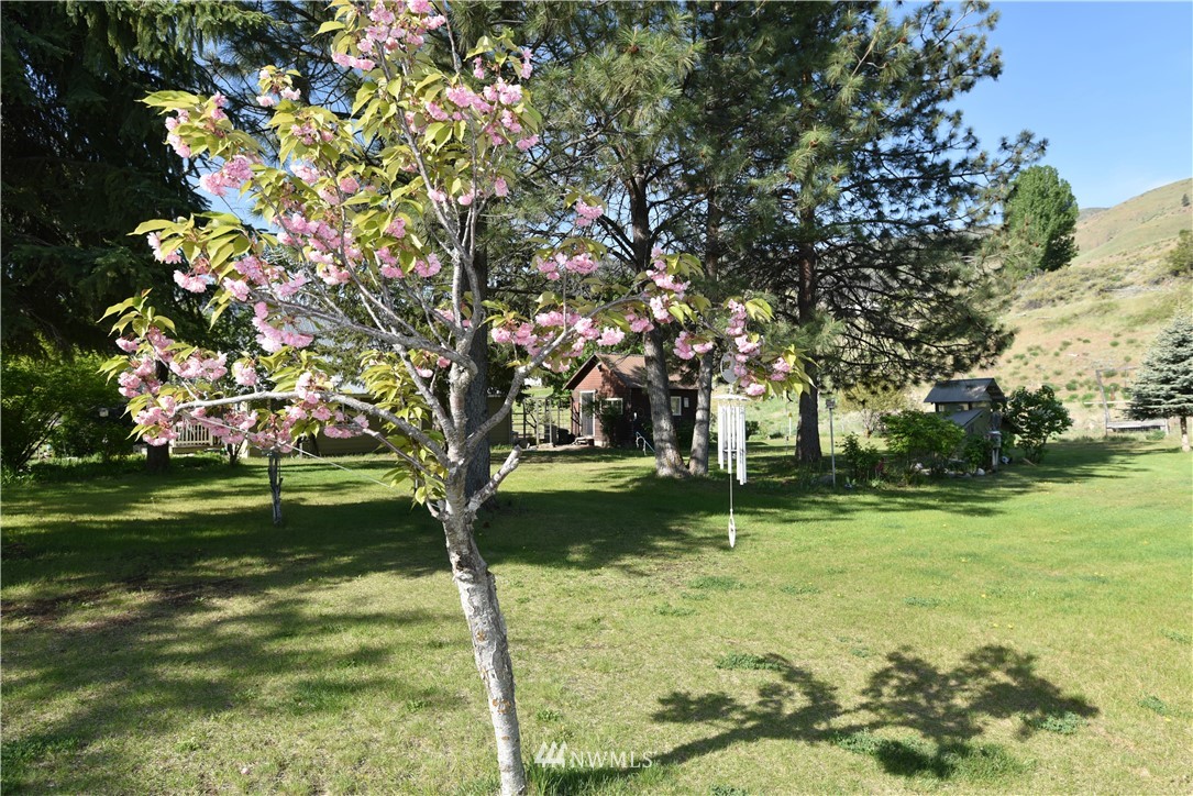 1 Big Pine Road Carlton, WA 98814 - Photo 24 of 30 Gallery Image 24