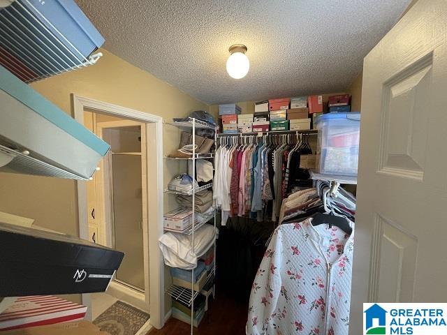 5334 Bluff View Road Mount Olive, AL 35117 - Photo 21 of 39