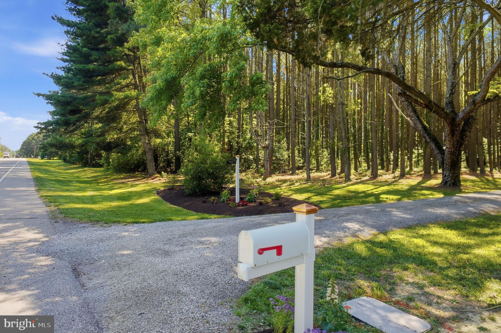 8670 Bozman Neavitt Road St. Michaels, MD 21663 - Photo 7 of 59