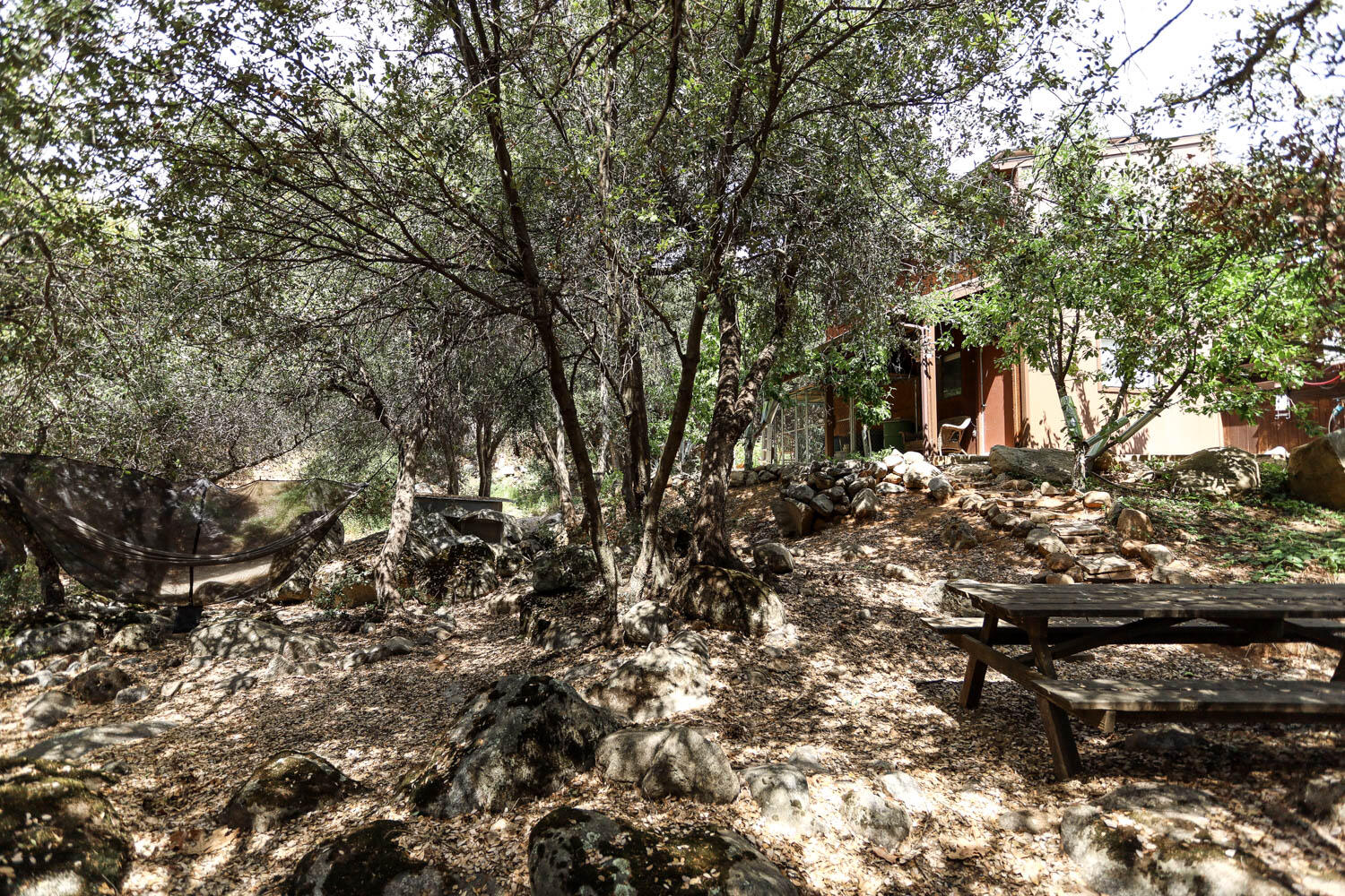 45314 Blue Ridge Drive Springville, CA 93265 - Photo 71 of 111 IMG_4819