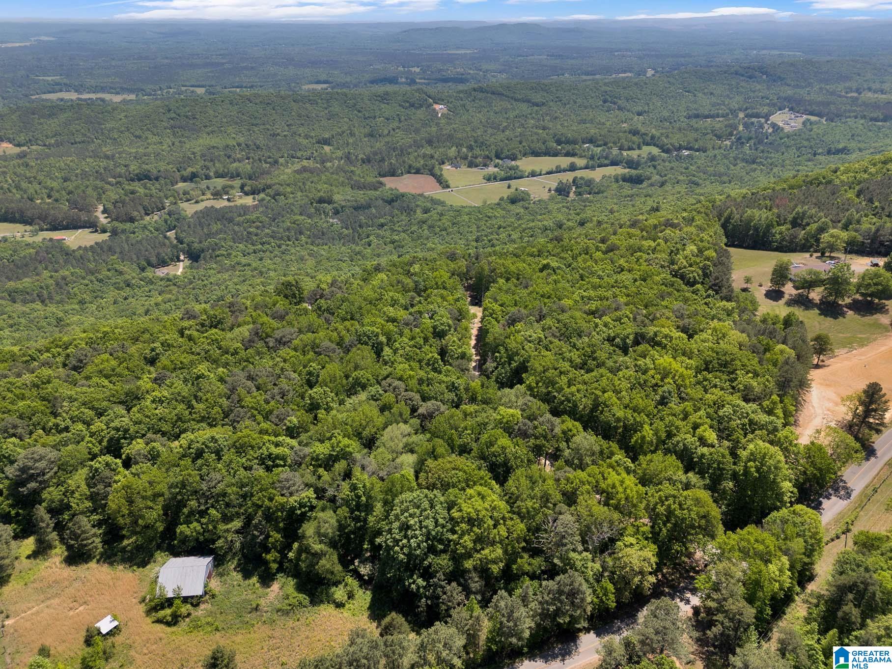 7076 Co Highway 24 Springville, AL 35146 - Photo 57 of 60