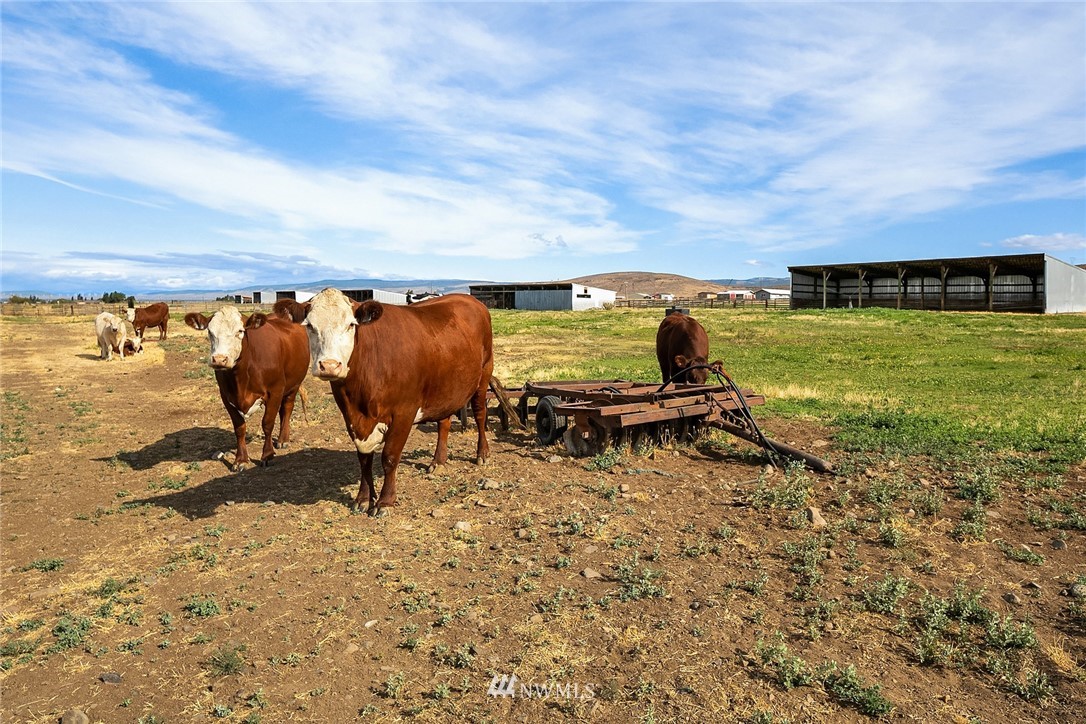 780 Sunset Road Ellensburg, WA 98926 - Photo 20 of 33 Gallery Image 20