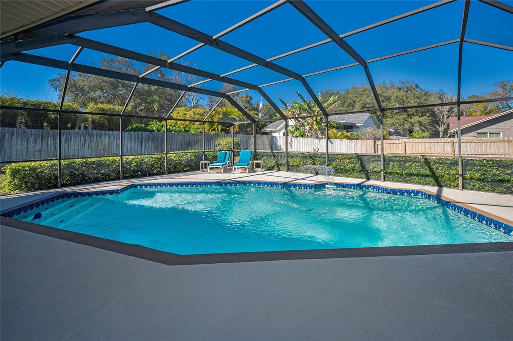 2949 Glenpark Road Palm Harbor, FL 34683 - Photo 50 of 60 a view of a backyard with lawn chairs under an umbrella