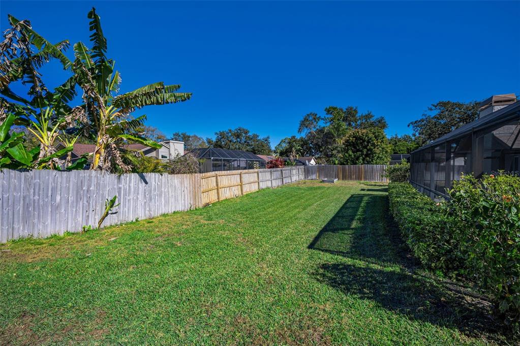 2949 Glenpark Road Palm Harbor, FL 34683 - Photo 55 of 60 a view of yard with seating area and trees in the background