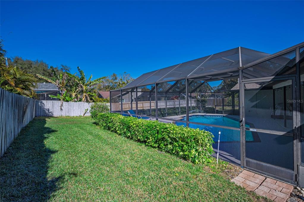 2949 Glenpark Road Palm Harbor, FL 34683 - Photo 56 of 60