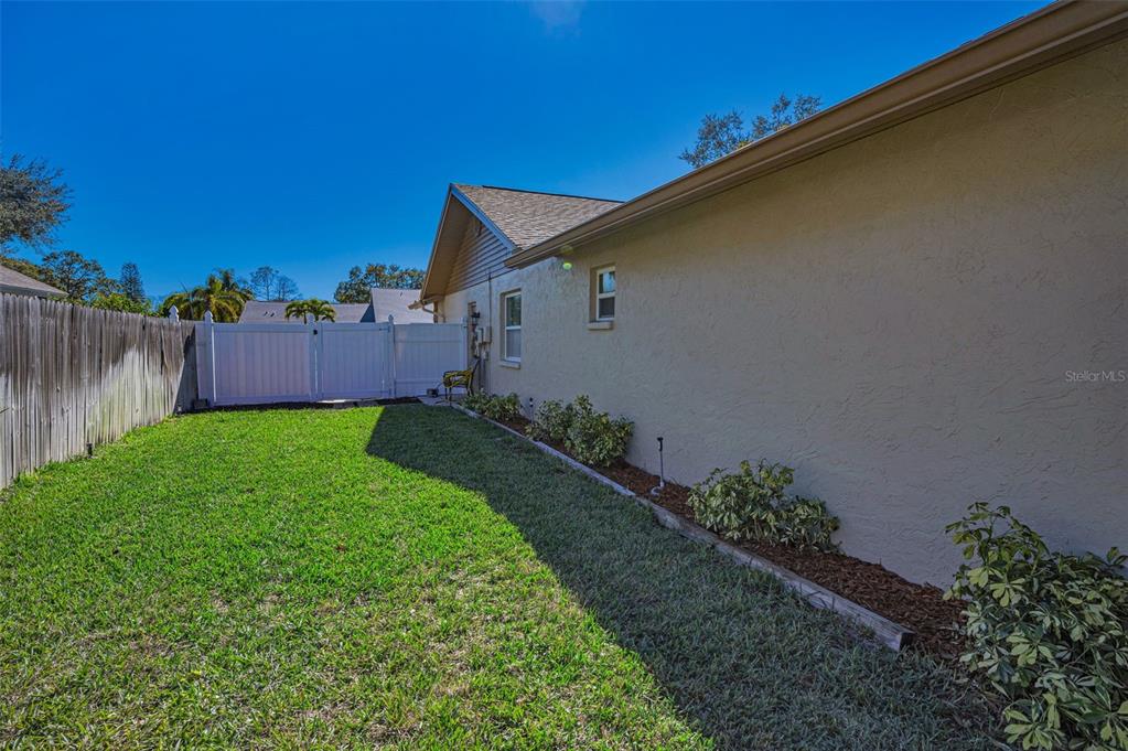 2949 Glenpark Road Palm Harbor, FL 34683 - Photo 57 of 60 a backyard of a house with lots of green space