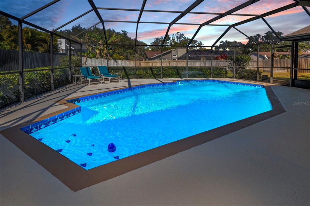 2949 Glenpark Road Palm Harbor, FL 34683 - Photo 59 of 60