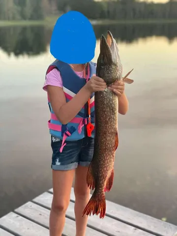 $499,900 | 15075 South Lost Lake Road, Wascott, WI 54838