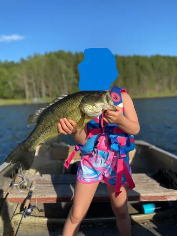 $499,900 | 15075 South Lost Lake Road, Wascott, WI 54838