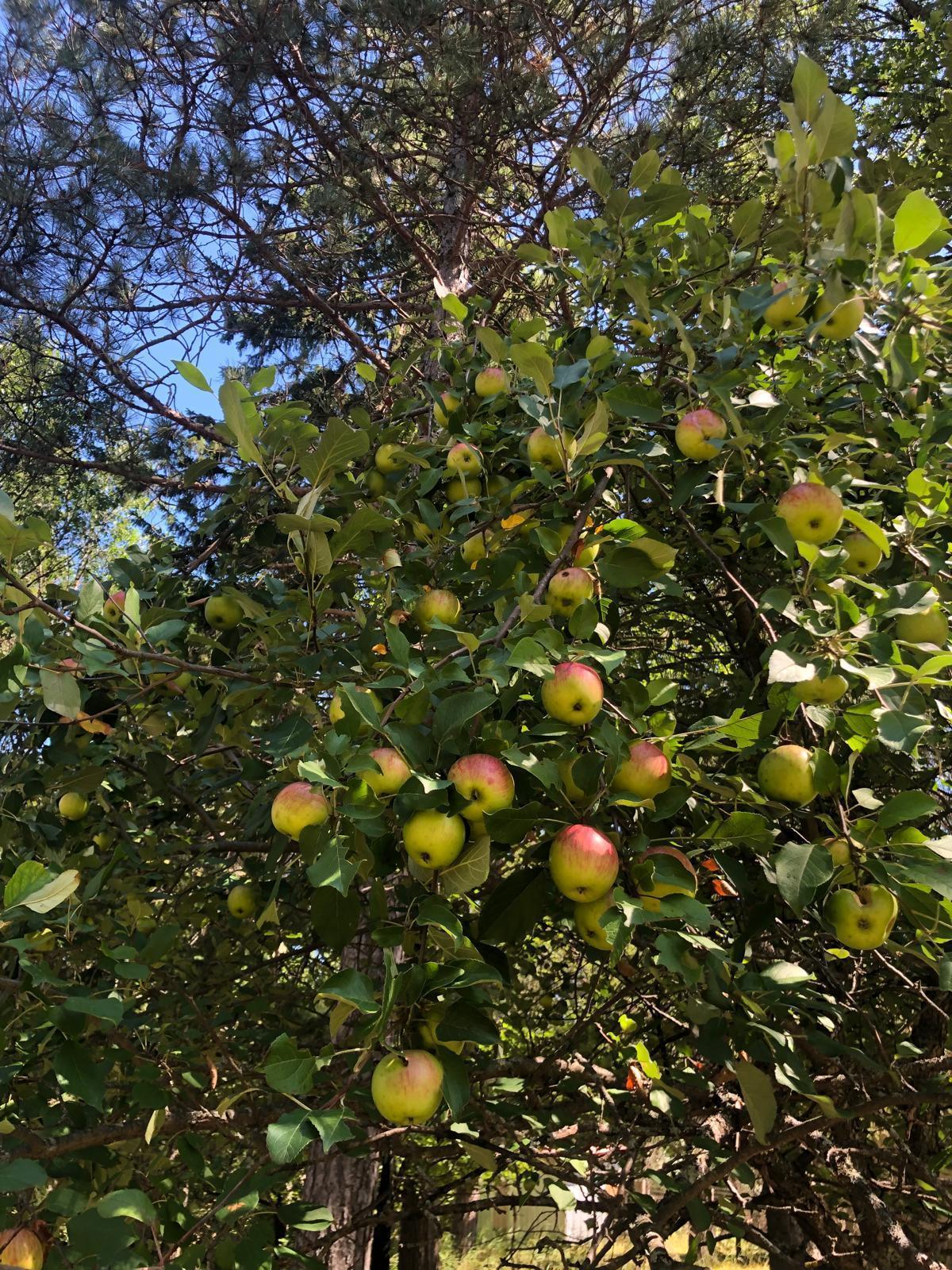 15075 South Lost Lake Road Wascott, WI 54838 - Photo 52 of 58