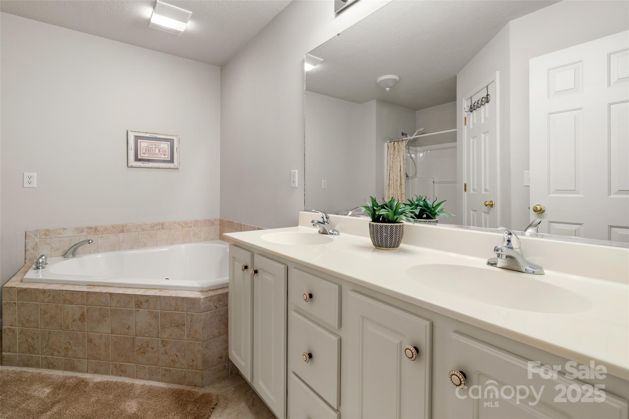 270 Farington Circle Fletcher, NC 28732 - Photo 10 of 29 a bathroom with a double vanity sink mirror and