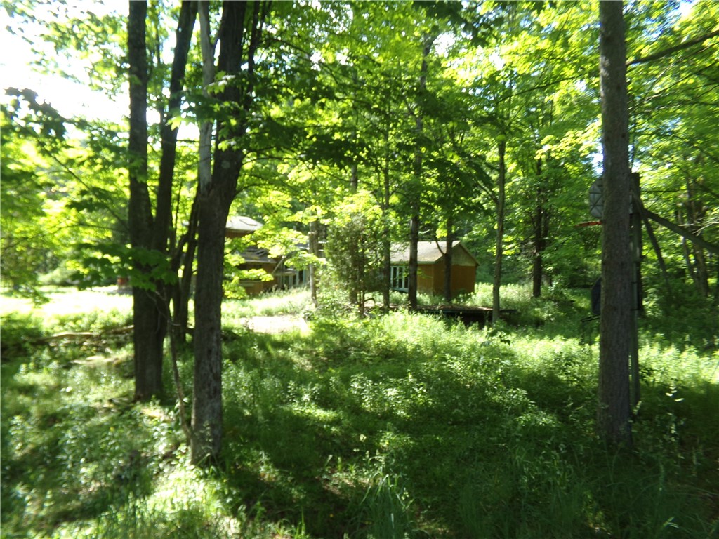 293 Lockwood Hill Road Mount Upton, NY 13809 - Photo 2 of 17