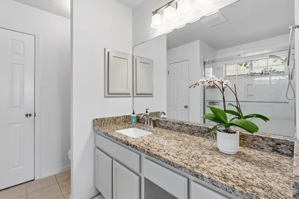 a bathroom with a granite countertop sink a mirror and a potted plant