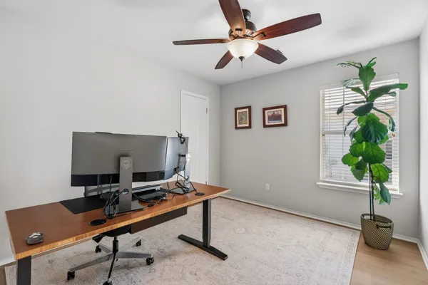 a view of workspace with a potted plant