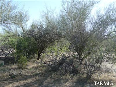 0 East Derrio Canyon Road Marana, AZ 85658 - Photo 3 of 11