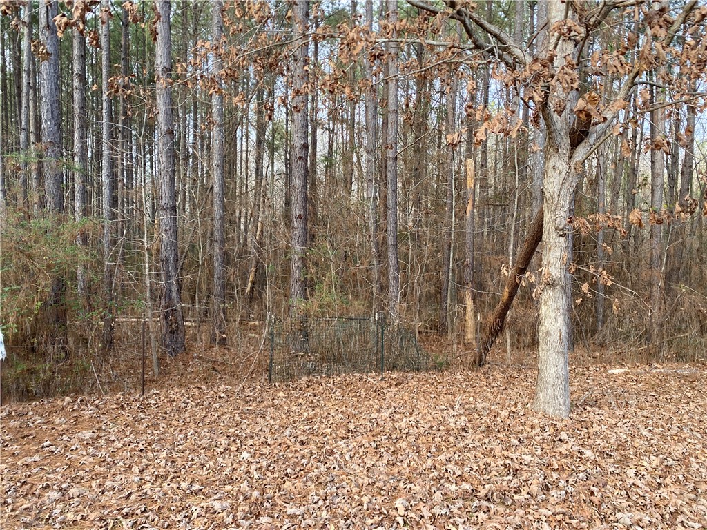 894 Martin Road Starr, SC 29684 - Photo 23 of 28 Gallery Image 23