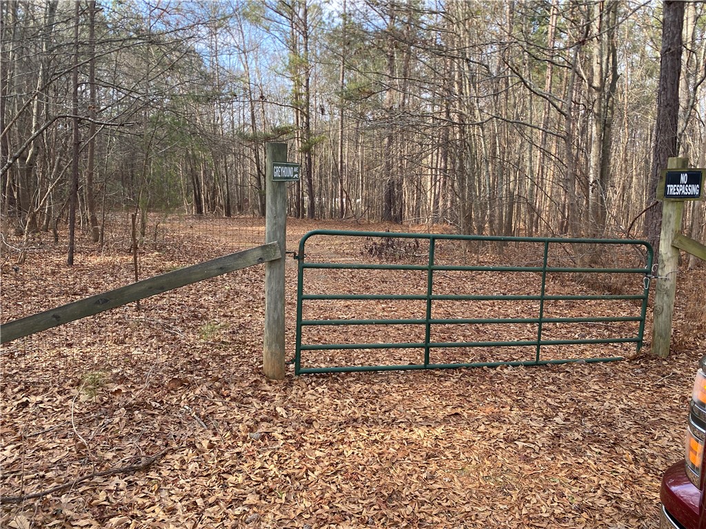 894 Martin Road Starr, SC 29684 - Photo 4 of 28 Gallery Image 4