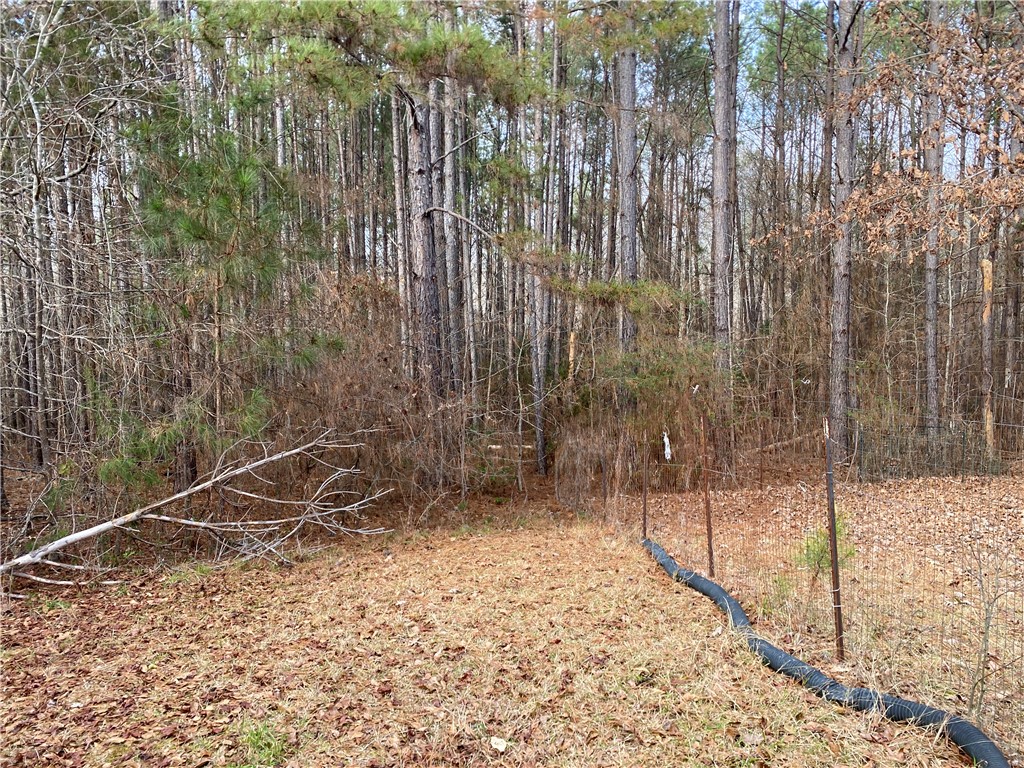 894 Martin Road Starr, SC 29684 - Photo 8 of 28 Gallery Image 8