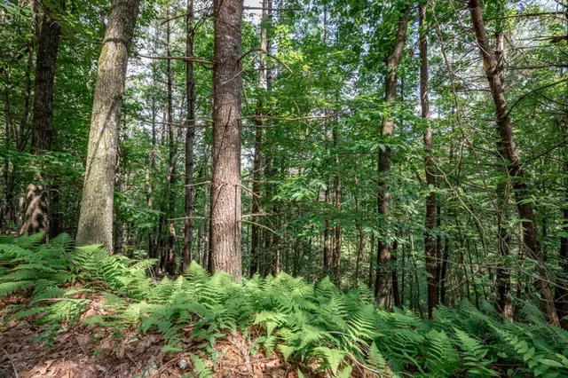 $79,000 | Lot 10 Raper Mill Creek, Murphy, NC 28906