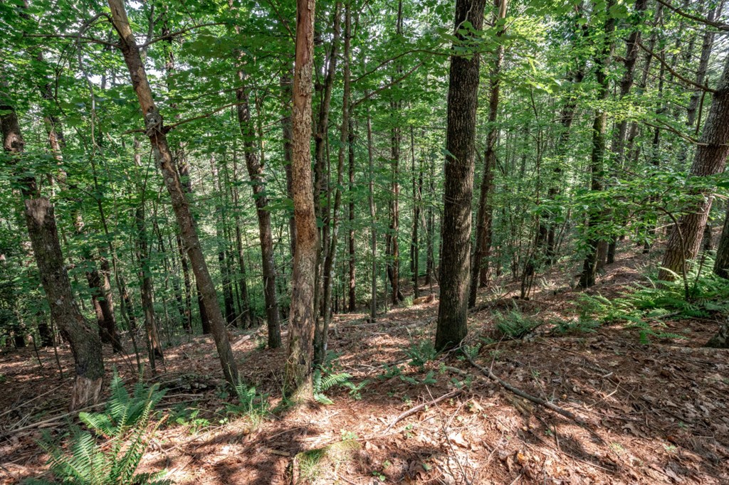 Lot 10 Raper Mill Creek Murphy, NC 28906 - Photo 12 of 49