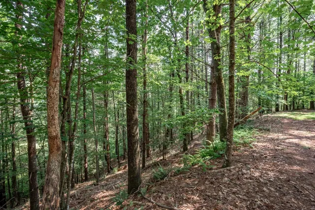 $79,000 | Lot 10 Raper Mill Creek, Murphy, NC 28906