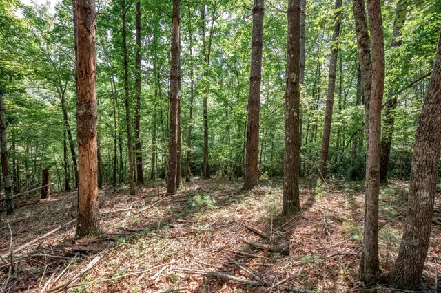 $79,000 | Lot 10 Raper Mill Creek, Murphy, NC 28906