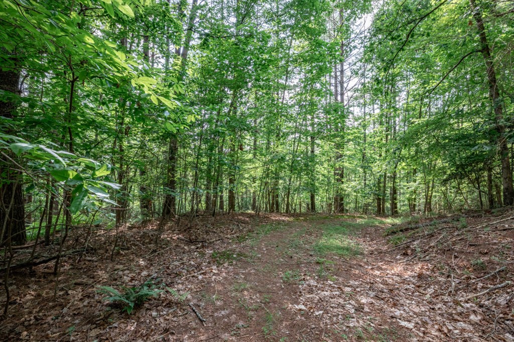 Lot 10 Raper Mill Creek Murphy, NC 28906 - Photo 16 of 49