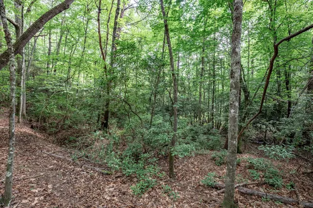 $79,000 | Lot 10 Raper Mill Creek, Murphy, NC 28906