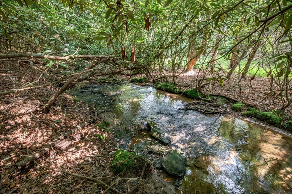 Lot 10 Raper Mill Creek Murphy, NC 28906 - Photo 18 of 49