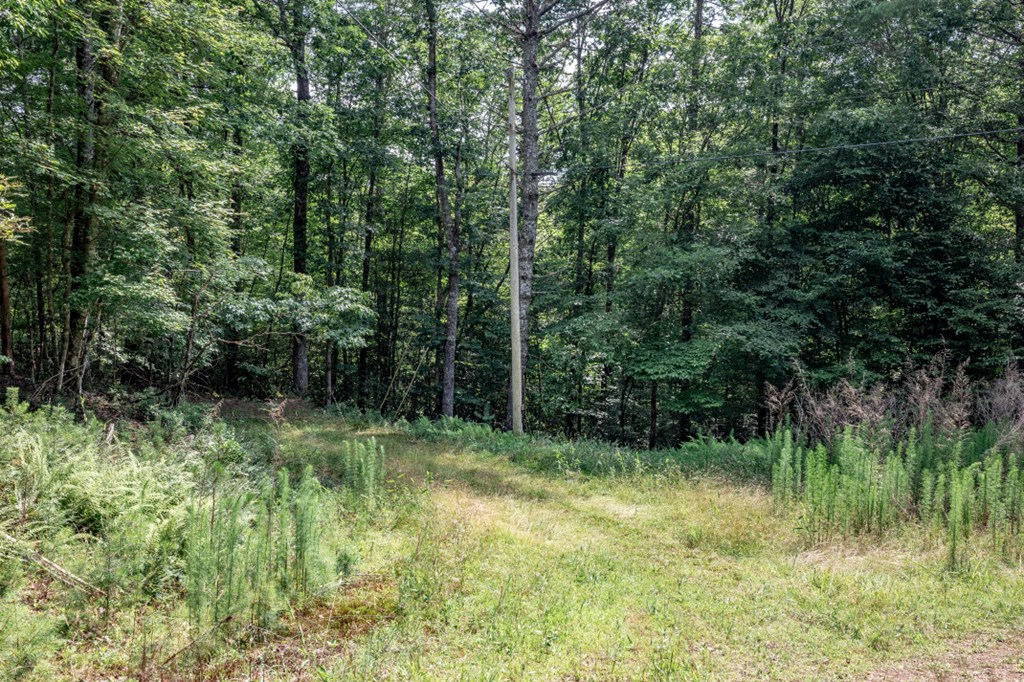 Lot 10 Raper Mill Creek Murphy, NC 28906 - Photo 19 of 49