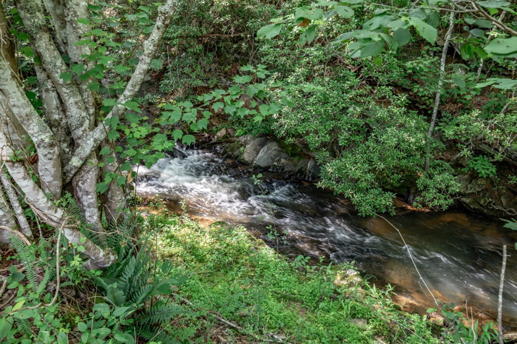 Lot 10 Raper Mill Creek Murphy, NC 28906 - Photo 22 of 49