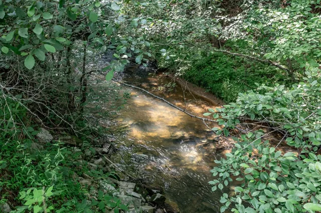 $79,000 | Lot 10 Raper Mill Creek, Murphy, NC 28906