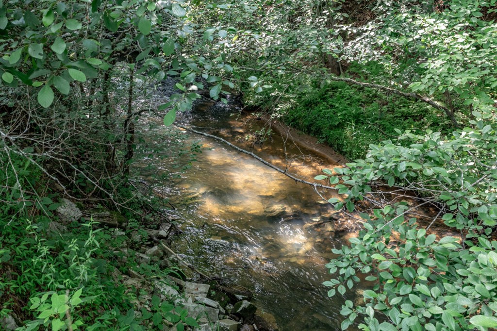 Lot 10 Raper Mill Creek Murphy, NC 28906 - Photo 25 of 49