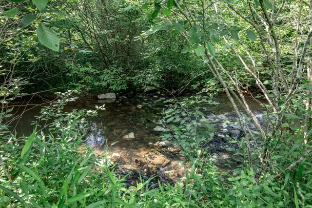 $79,000 | Lot 10 Raper Mill Creek, Murphy, NC 28906