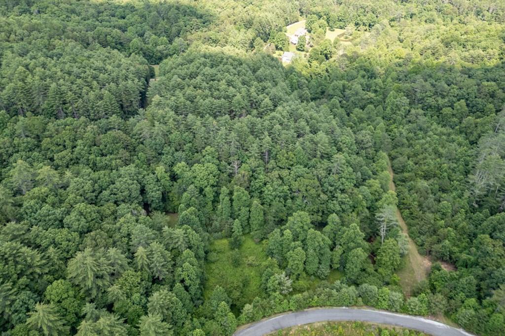 Lot 10 Raper Mill Creek Murphy, NC 28906 - Photo 28 of 49