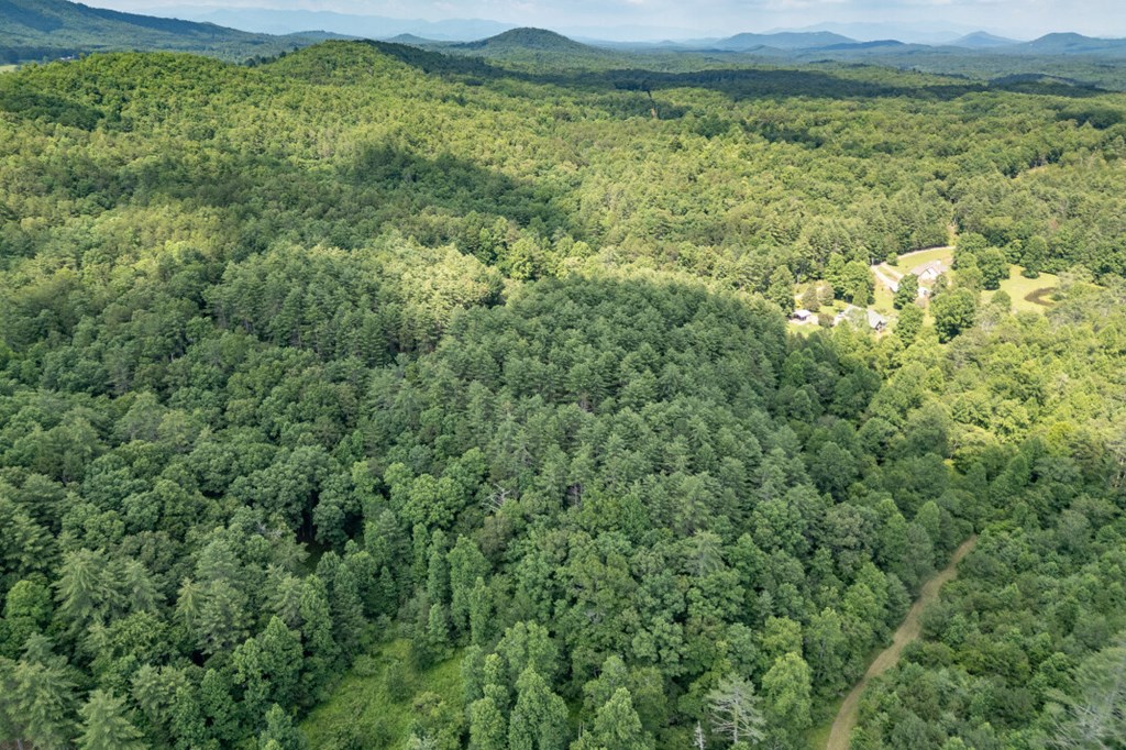 Lot 10 Raper Mill Creek Murphy, NC 28906 - Photo 30 of 49