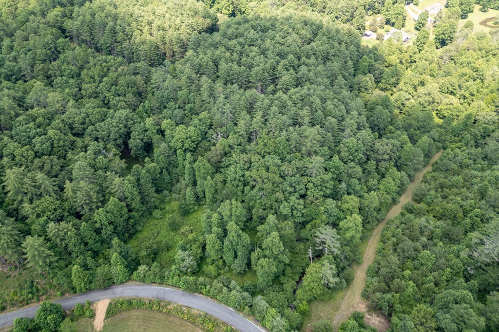 Lot 10 Raper Mill Creek Murphy, NC 28906 - Photo 31 of 49