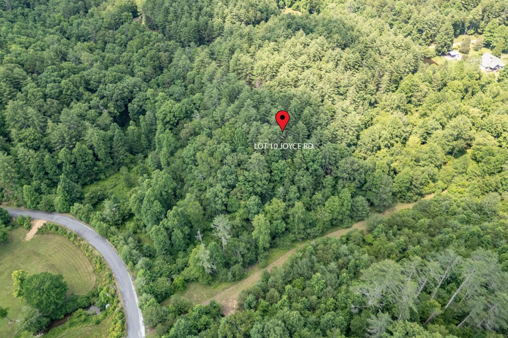 Lot 10 Raper Mill Creek Murphy, NC 28906 - Photo 32 of 49