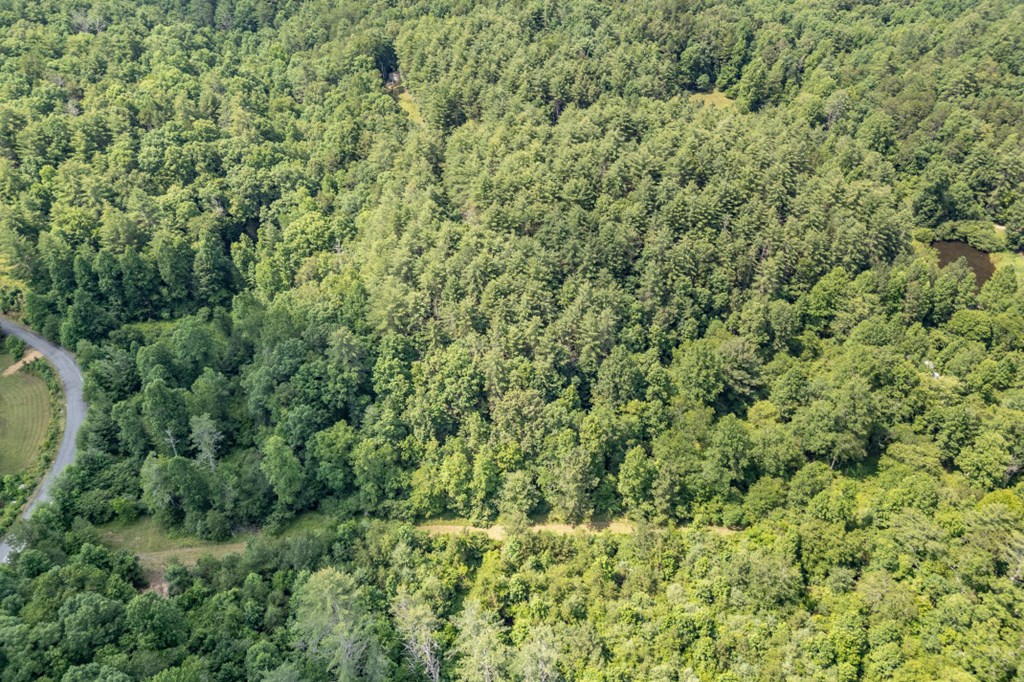 Lot 10 Raper Mill Creek Murphy, NC 28906 - Photo 35 of 49