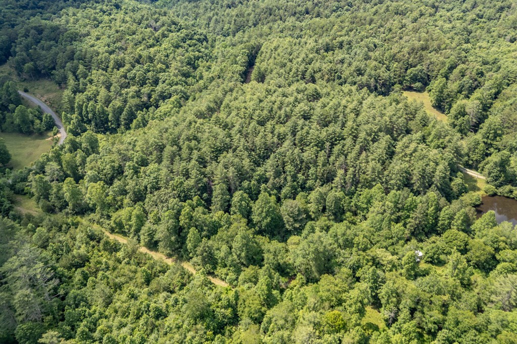 Lot 10 Raper Mill Creek Murphy, NC 28906 - Photo 36 of 49