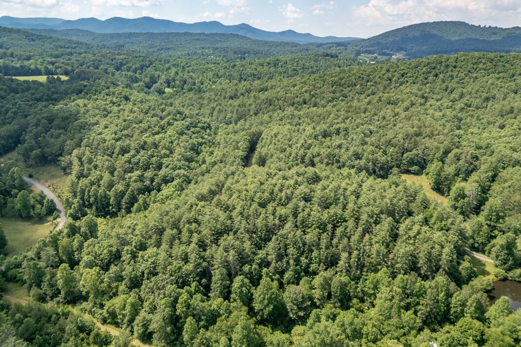 Lot 10 Raper Mill Creek Murphy, NC 28906 - Photo 37 of 49