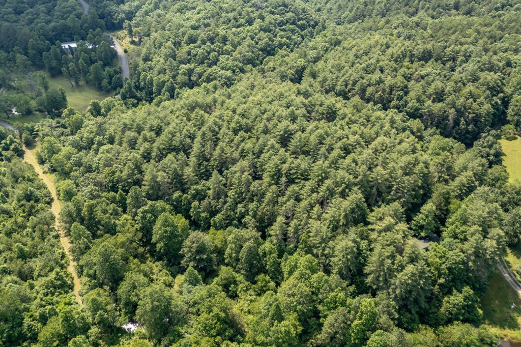 Lot 10 Raper Mill Creek Murphy, NC 28906 - Photo 39 of 49