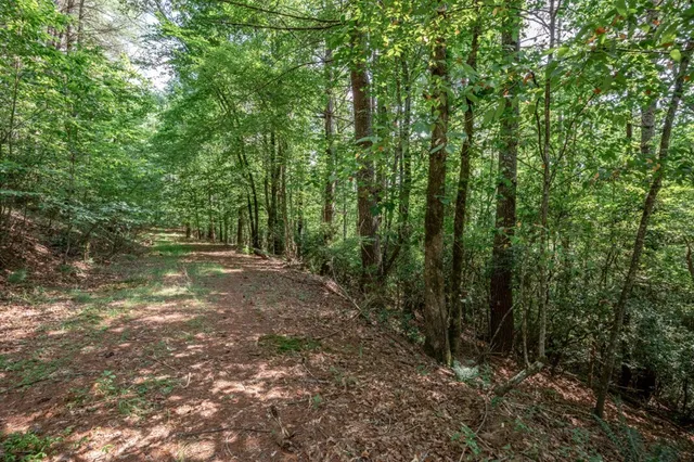 $79,000 | Lot 10 Raper Mill Creek, Murphy, NC 28906
